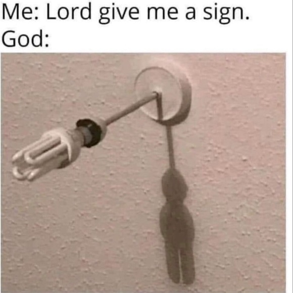 Meet your Posher, Sage - Picture 10 of 16